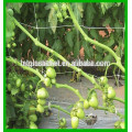 5'x30' Plant Support Trellis Net /Green Color Trellis For Garden And Yard